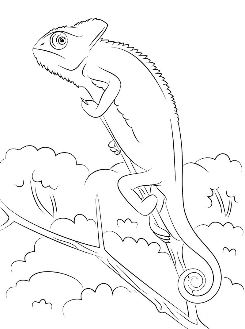 Top 20 Printable Reptile Coloring Pages