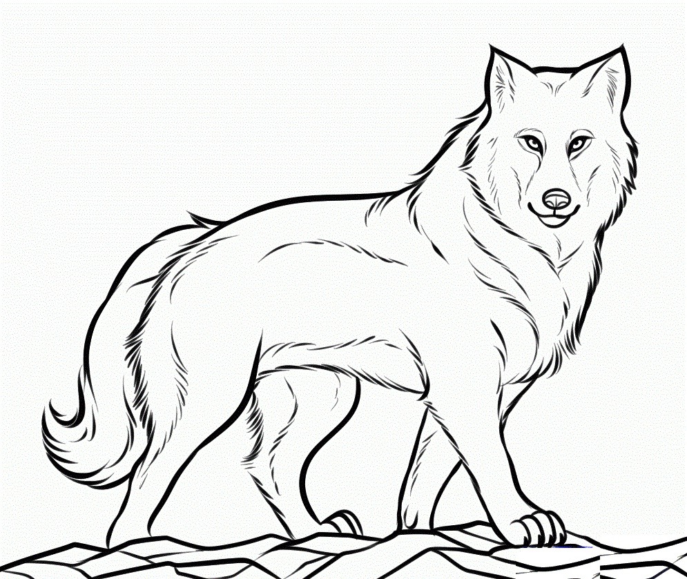 Top 20 Printable Wolf Coloring Pages