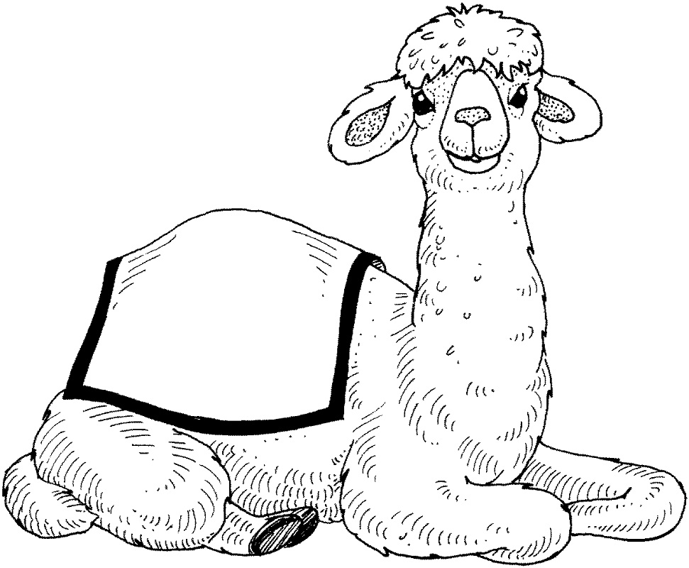 Top 20 Printable Camel Coloring Pages