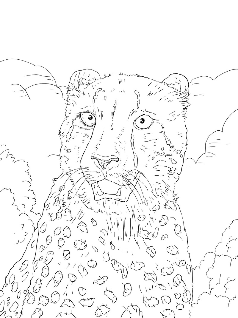 Top 20 Printable Cheetah Coloring Pages