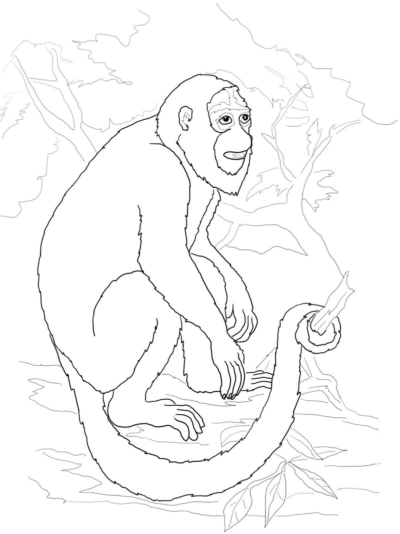 Top 20 Printable Monkey Coloring Pages