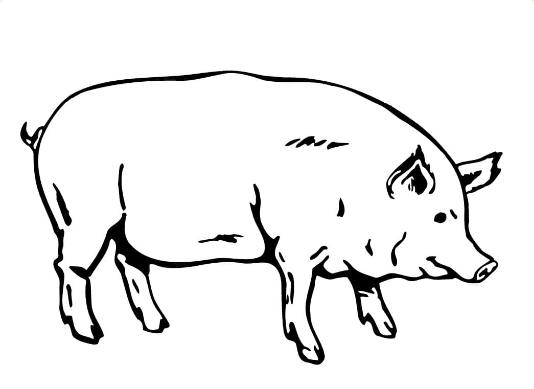 Top 60 Printable Pig Coloring Pages