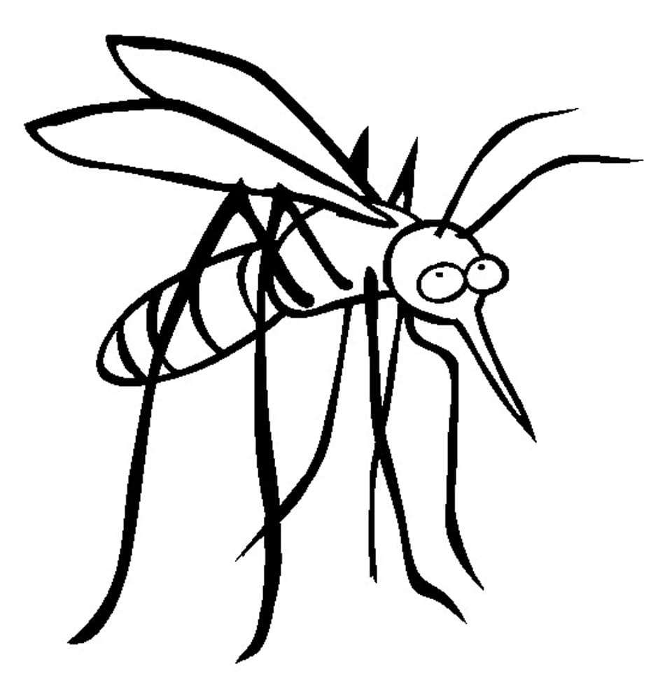 Top 32 Printable Mosquito Coloring Pages