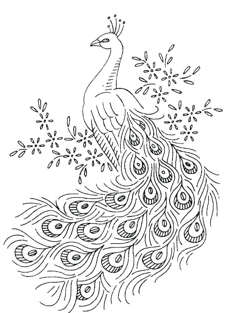 Top 52 Printable Peacock Coloring Pages