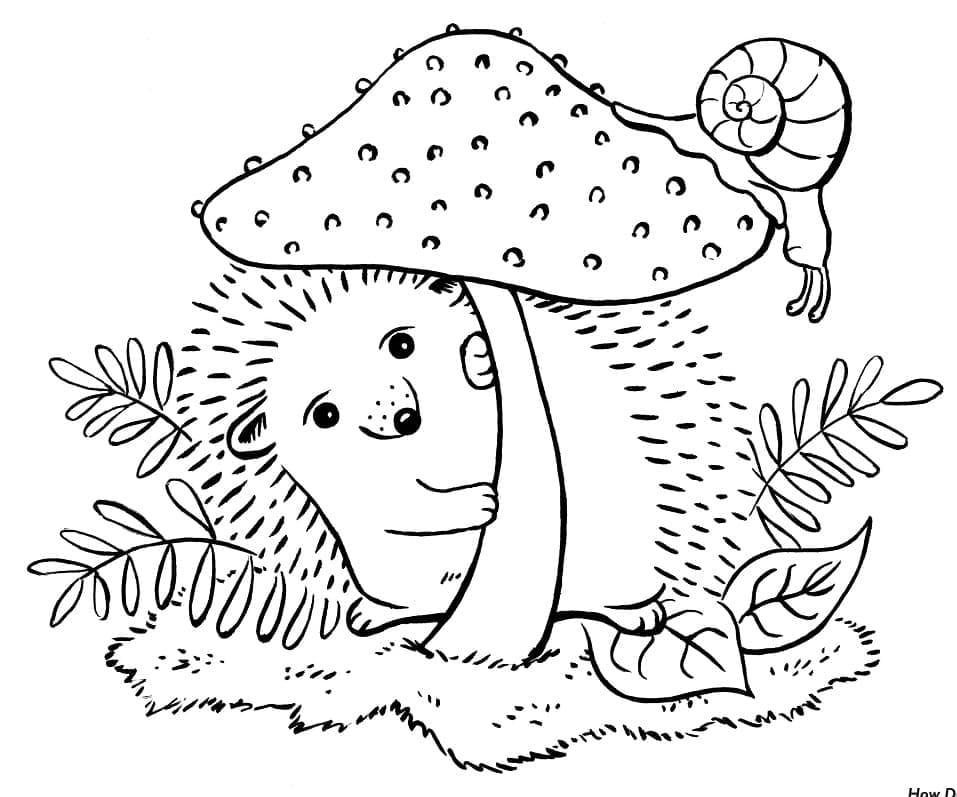 Top 40 Printable Hedgehog Coloring Pages